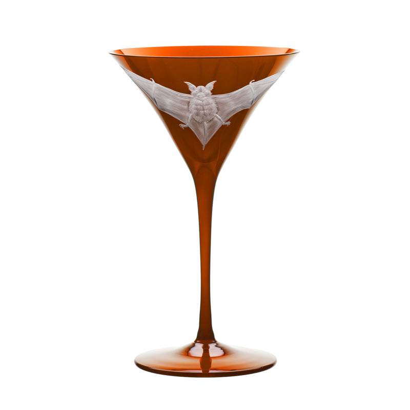 Cabinet of Curiosities Bat