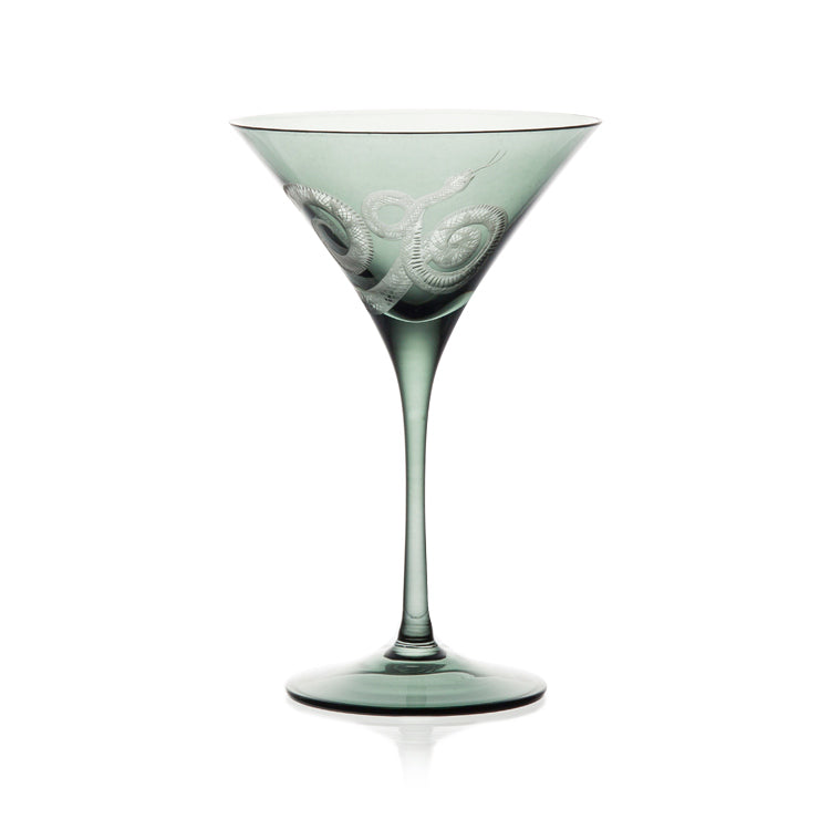 Cabinet of Curiosities Snake