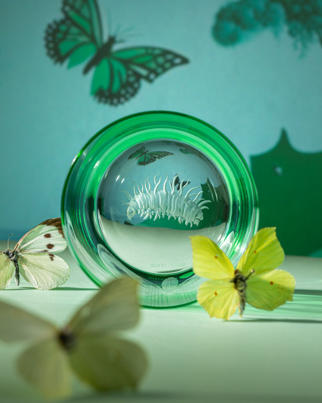 Animation Collection Set