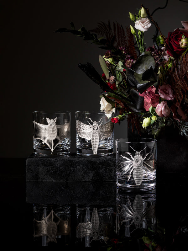 Cabinet of Curiosities Butterfly