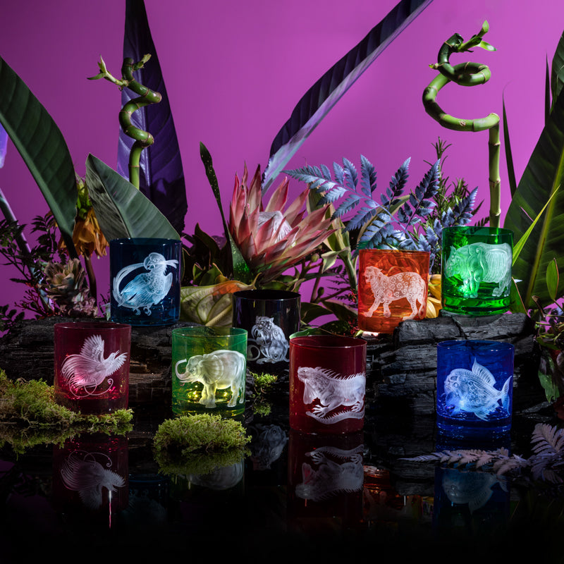 Jungle Baroque III Collection Set