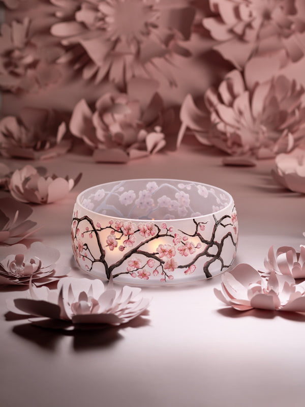 Sakura - Flowers with Gold Center