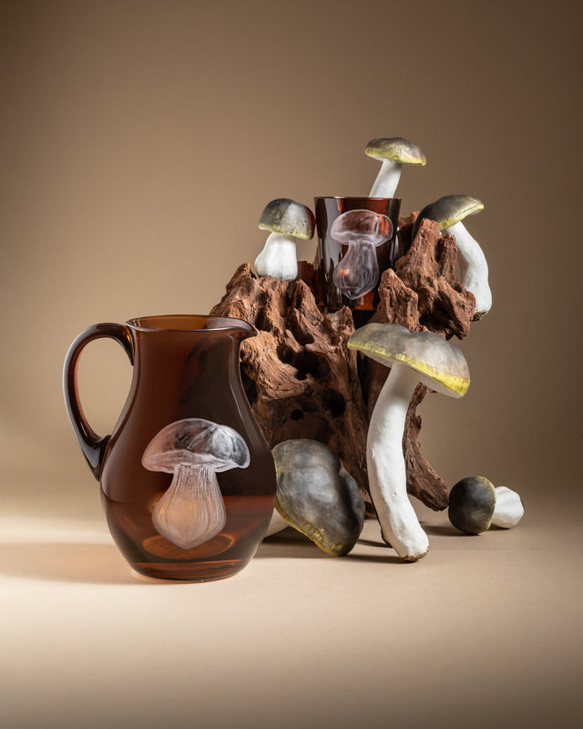 Mushrooms Summer Cep