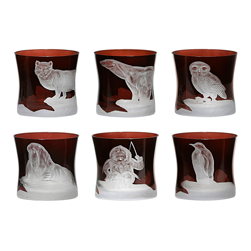 Arctic Collection Set