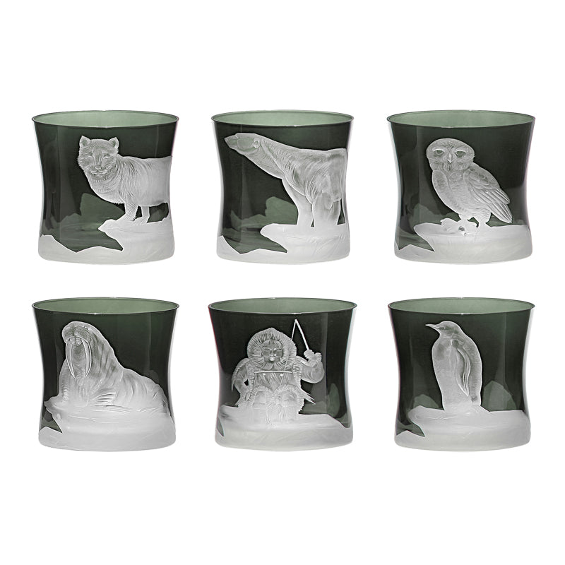 Arctic Collection Set