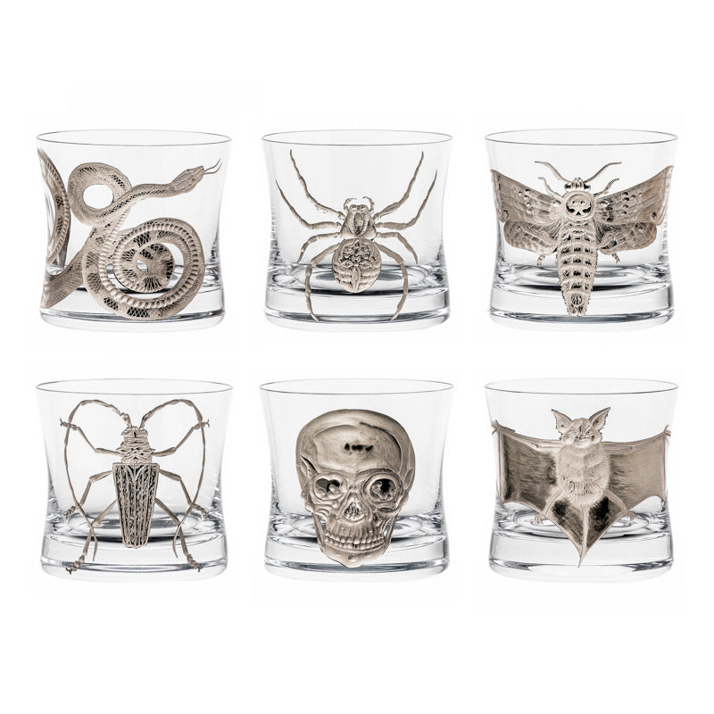 Cabinet of Curiosities Butterfly