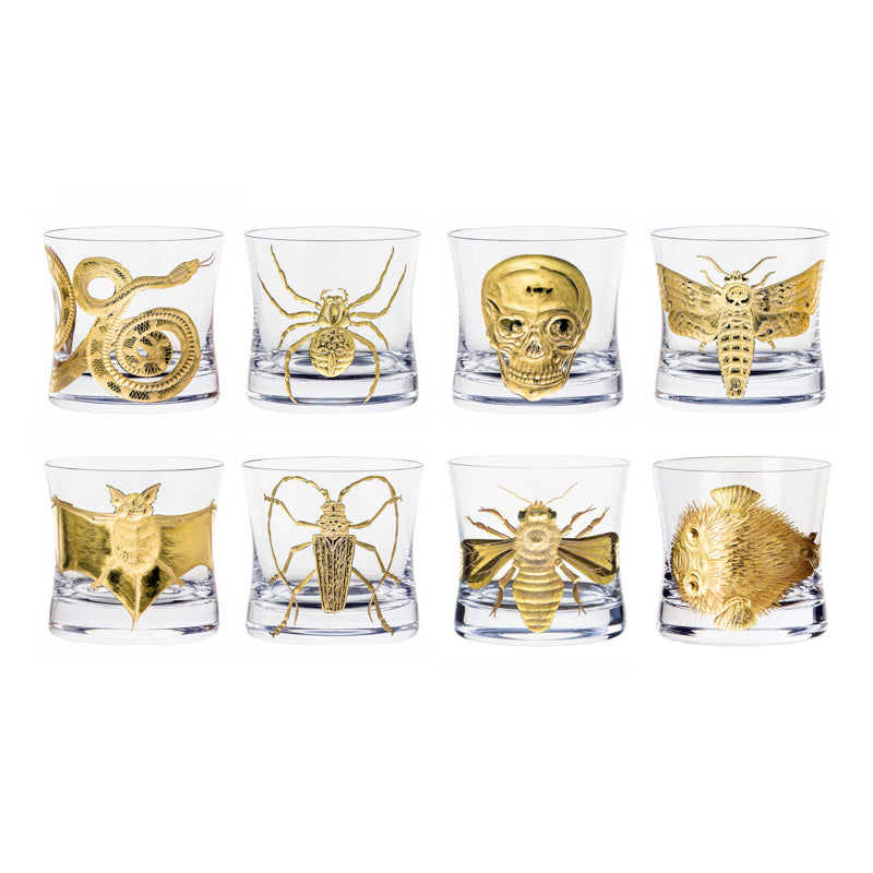 Cabinet of Curiosities Butterfly