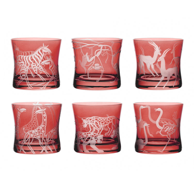 Safari Set