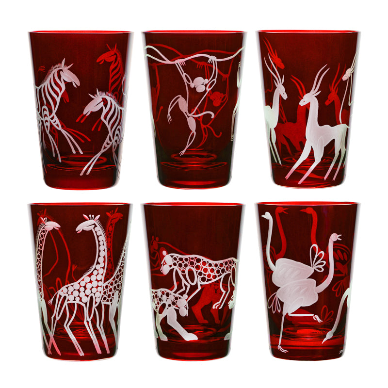 Safari Giraffes