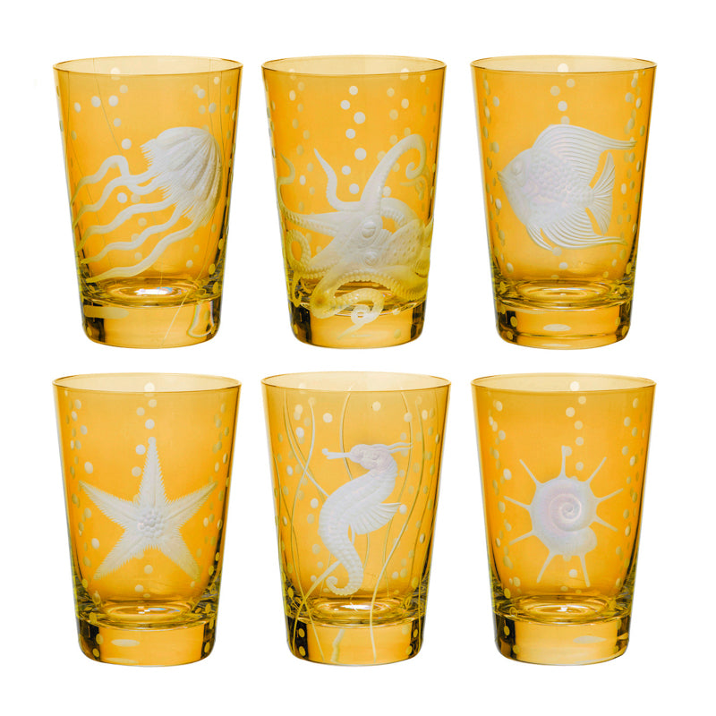 Sea Life Collection Set