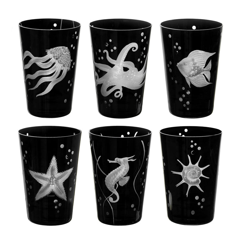 Sea Life Collection Set