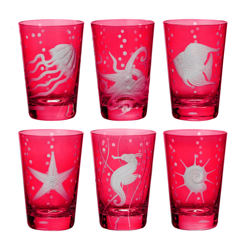 Sea Life Collection Set