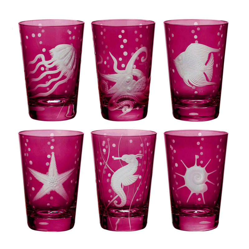 Sea Life Collection Set