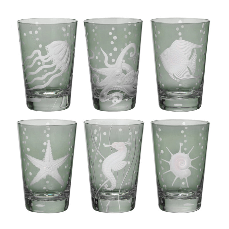 Sea Life Collection Set