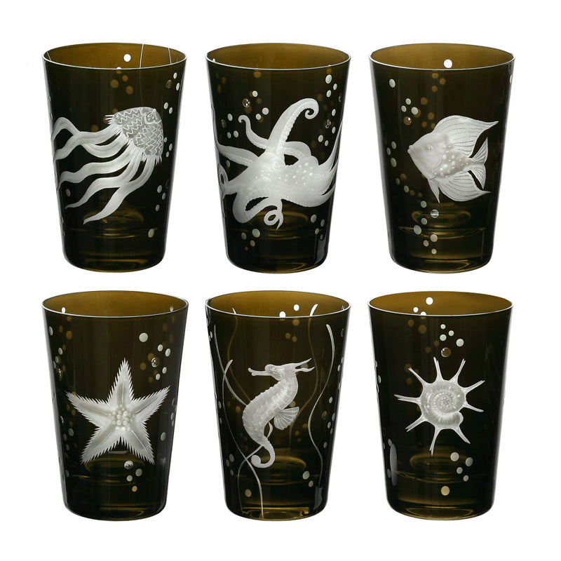 Sea Life Collection Set