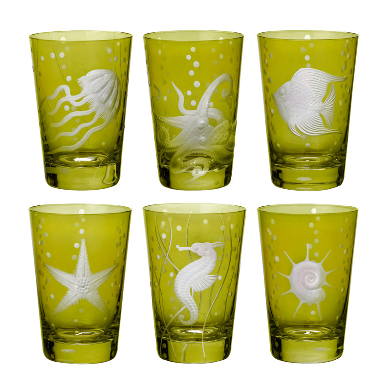 Sea Life Collection Set