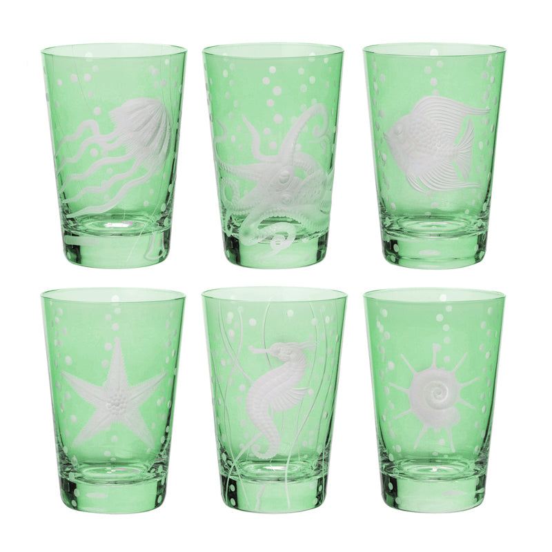 Sea Life Collection Set