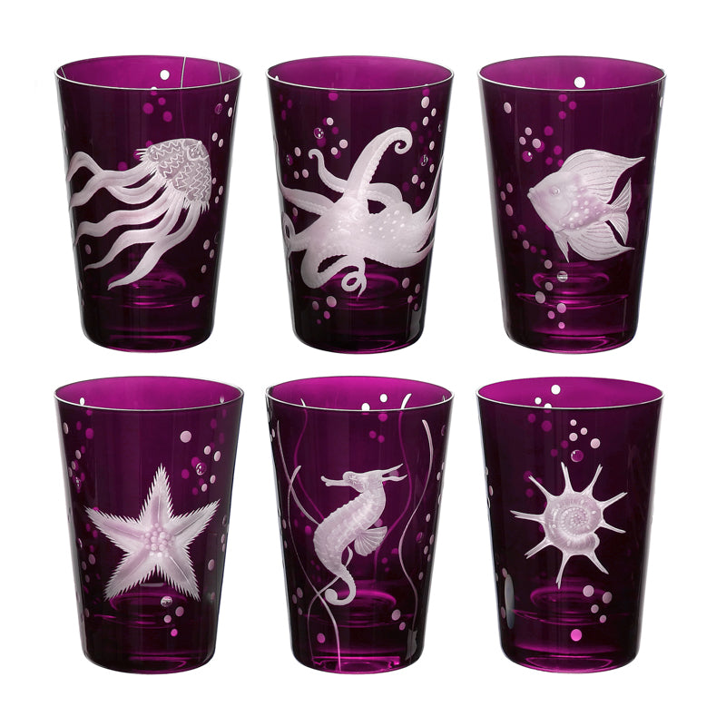 Sea Life Collection Set