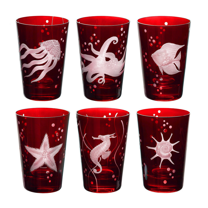 Sea Life Collection Set