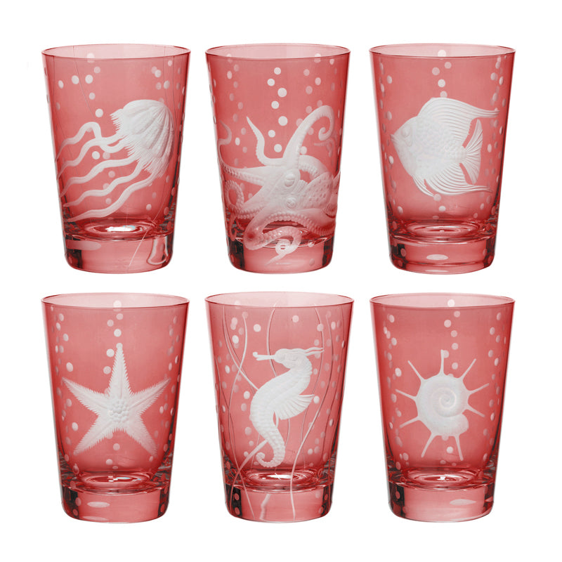 Sea Life Collection Set