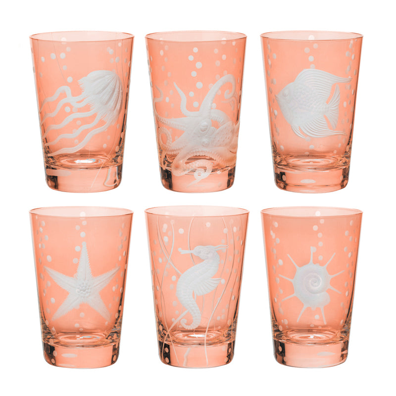 Sea Life Collection Set