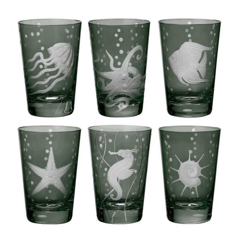 Sea Life Collection Set