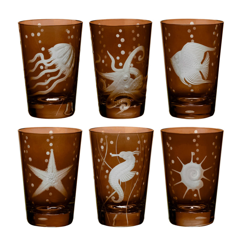 Sea Life Collection Set