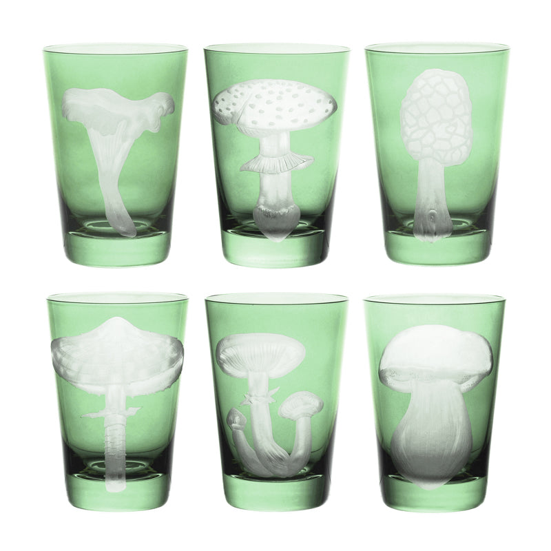 Mushrooms Collection Set