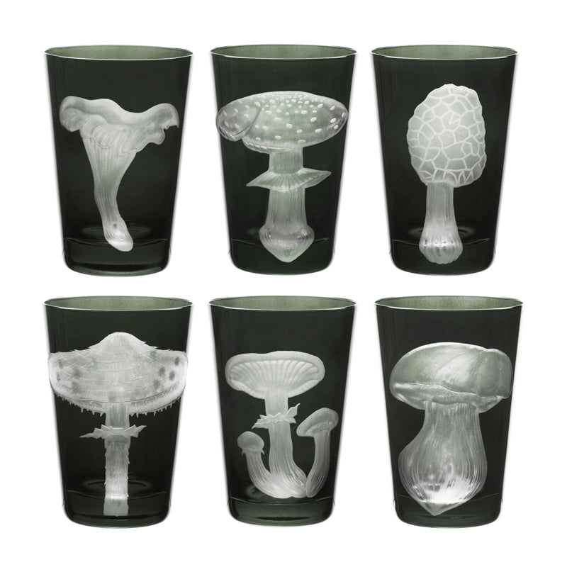 Mushrooms Collection Set