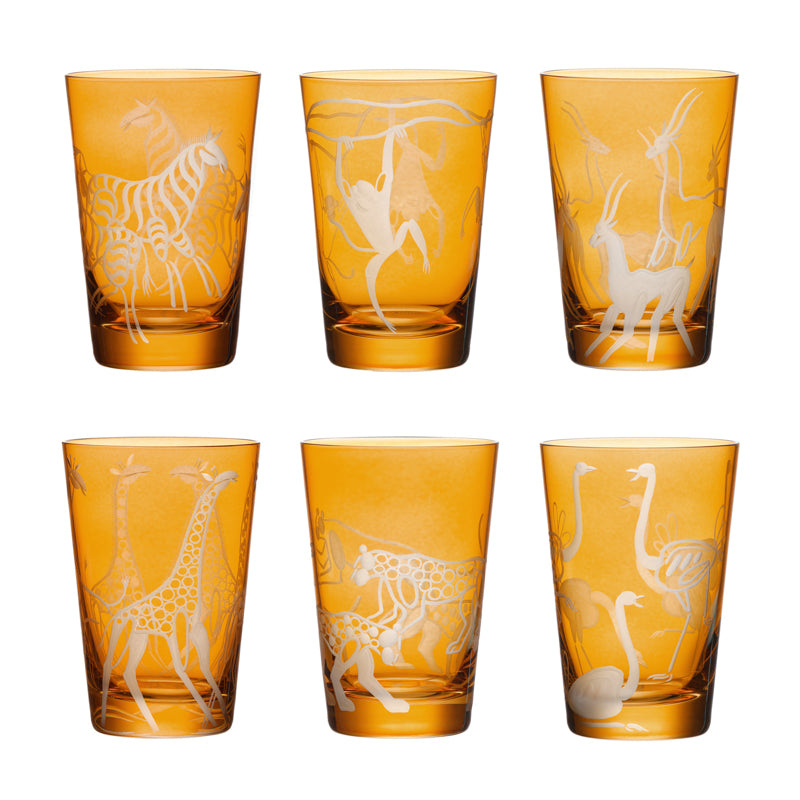 Safari Zebras