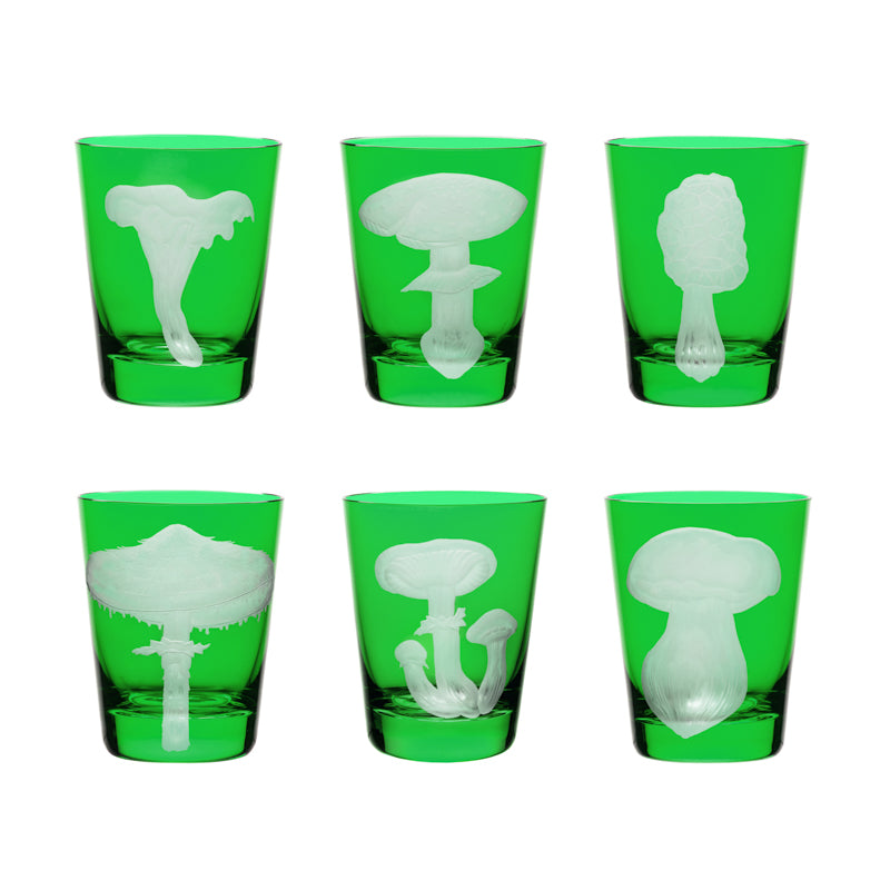 Mushrooms Collection Set