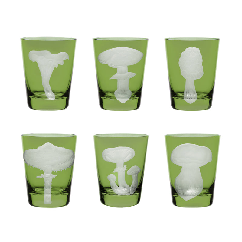 Mushrooms Collection Set