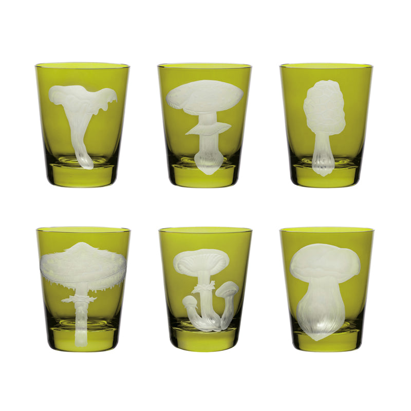 Mushrooms Collection Set