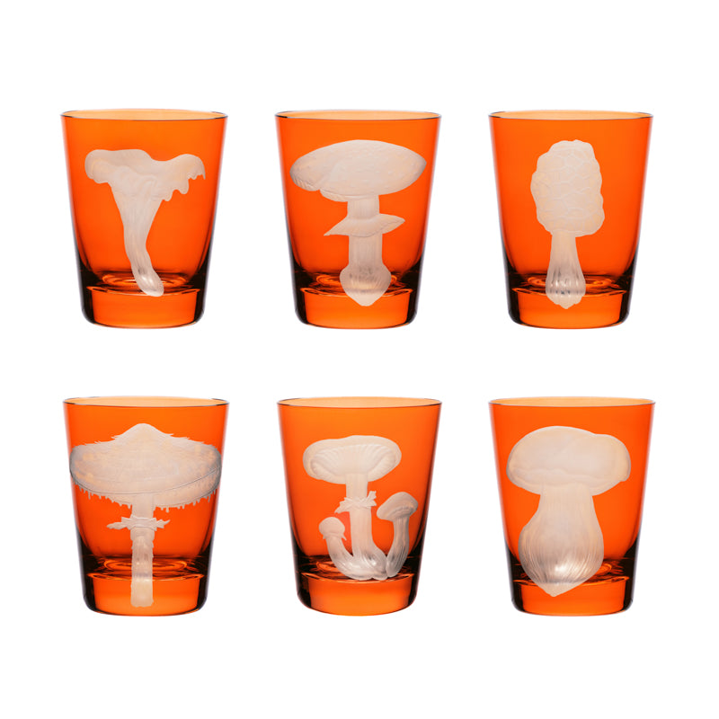 Mushrooms Collection Set