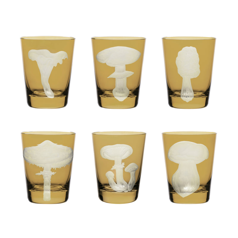 Mushrooms Collection Set