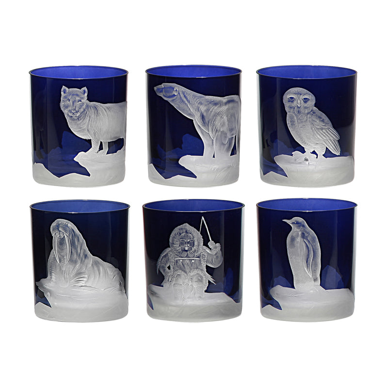 Arctic Collection Set