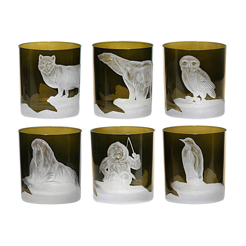 Arctic Collection Set