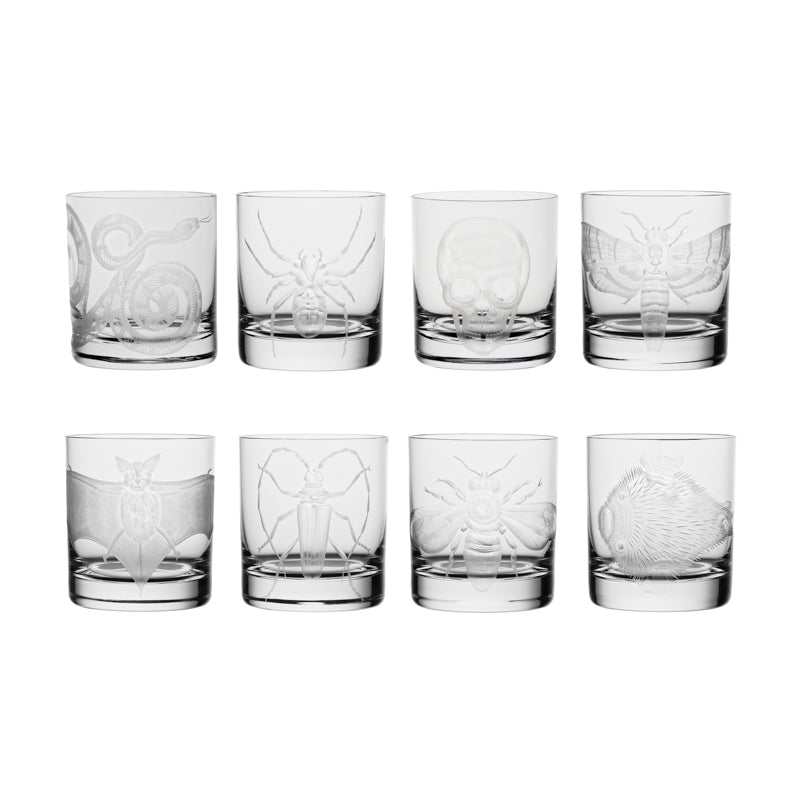 Cabinet of Curiosities Bat