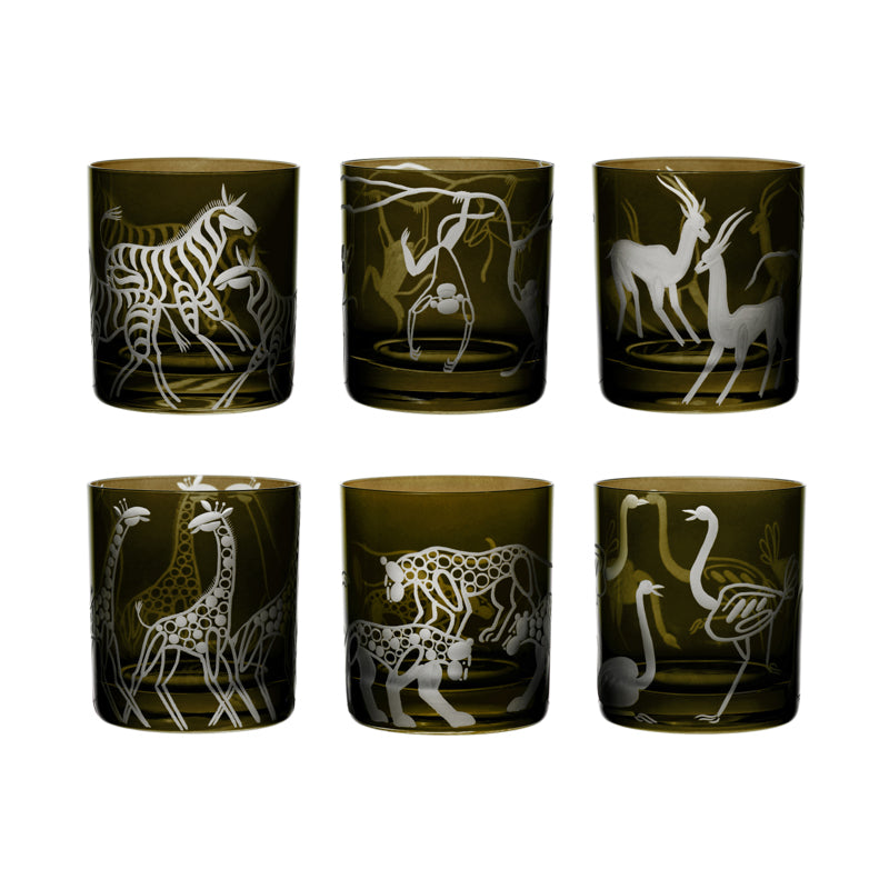 Safari Giraffes