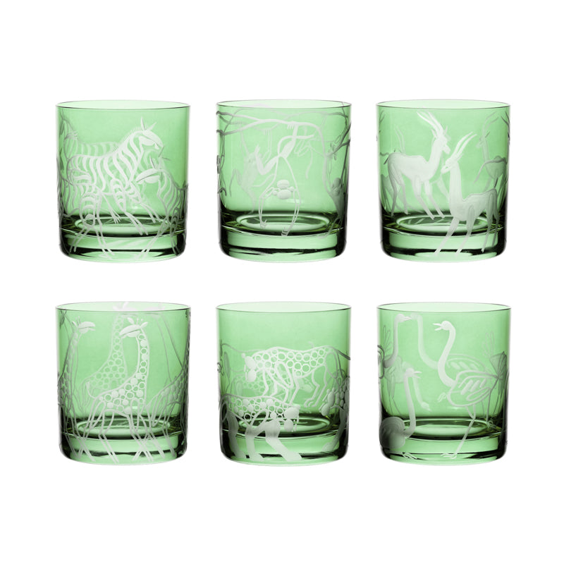 Safari Giraffes