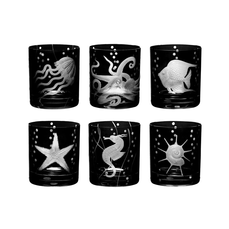 Sea Life Collection Set