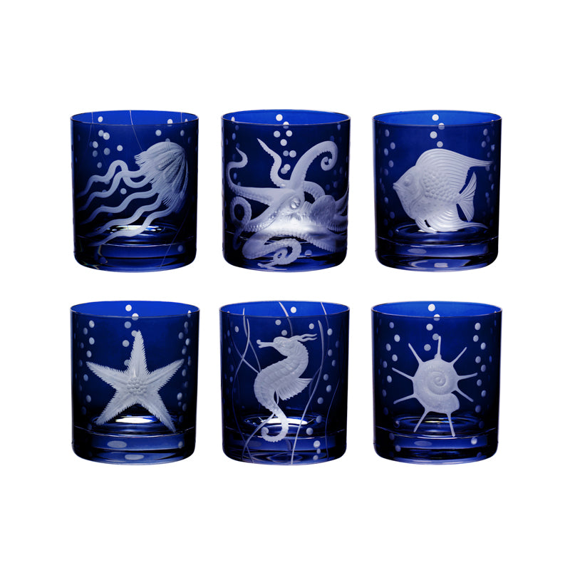 Sea Life Starfish