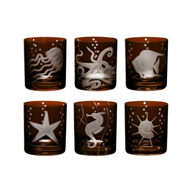 Sea Life Collection Set