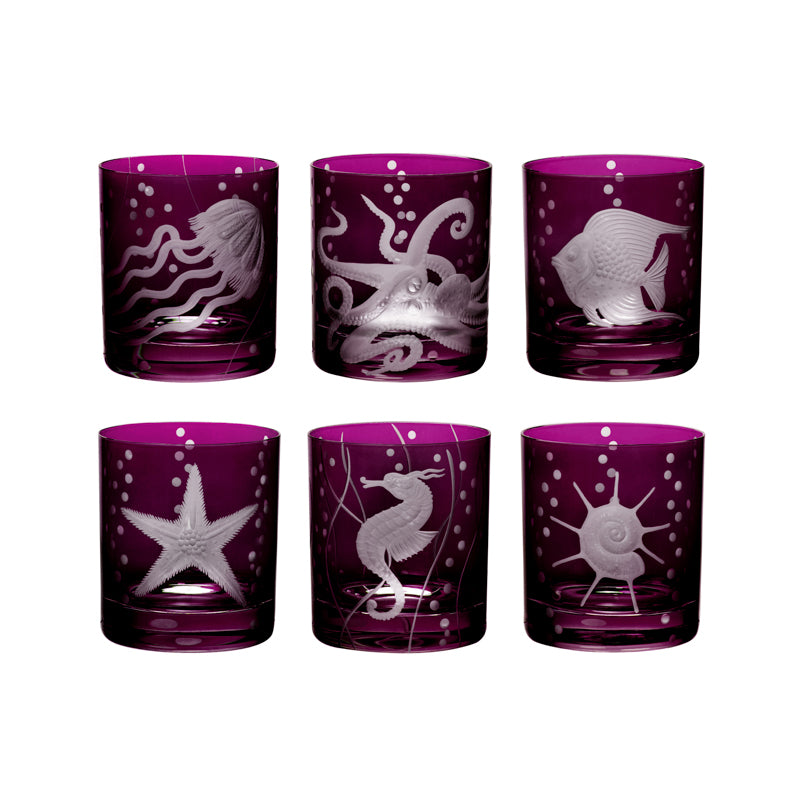 Sea Life Collection Set