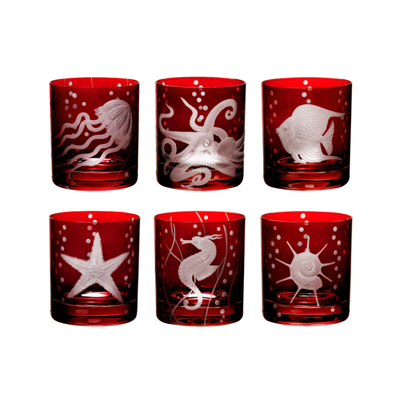 Sea Life Collection Set