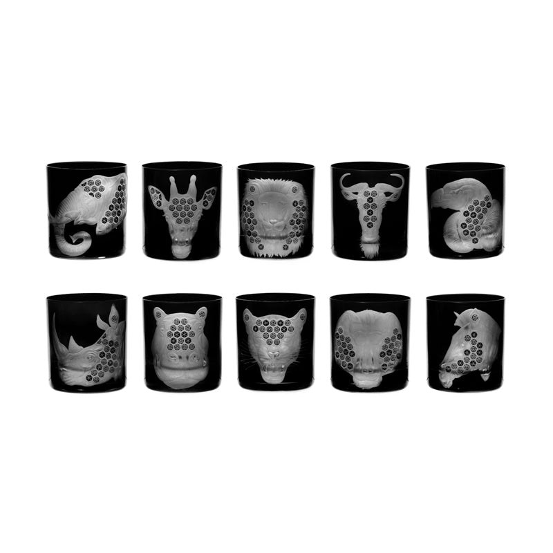 African Safari Collection Set