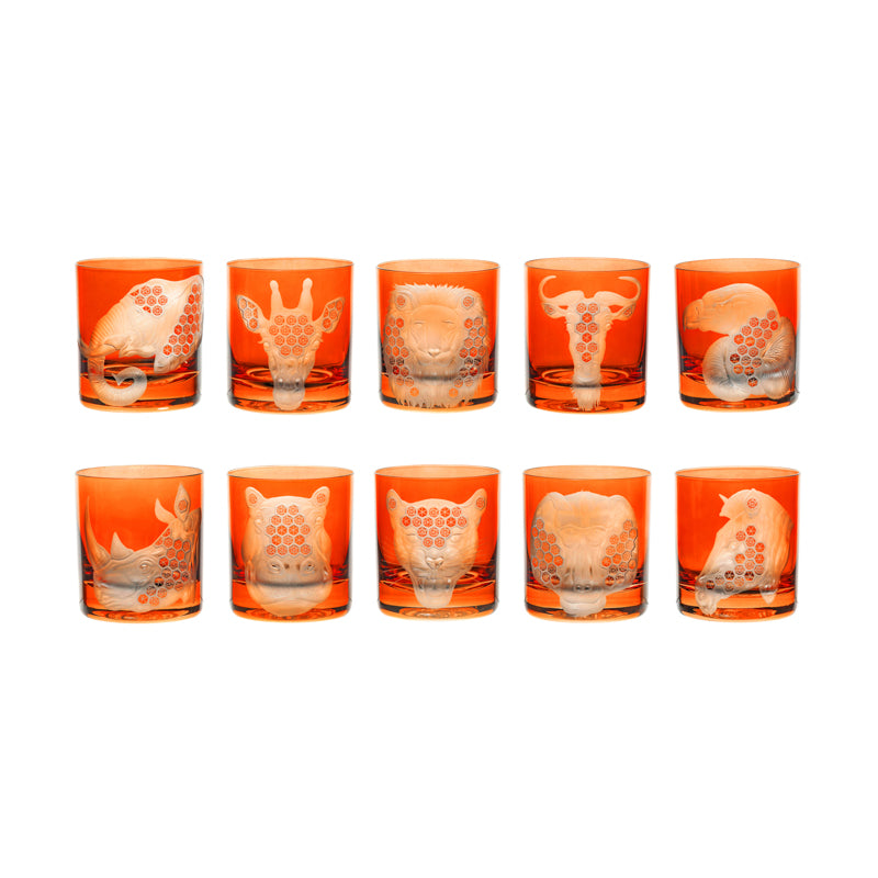 African Safari Collection Set