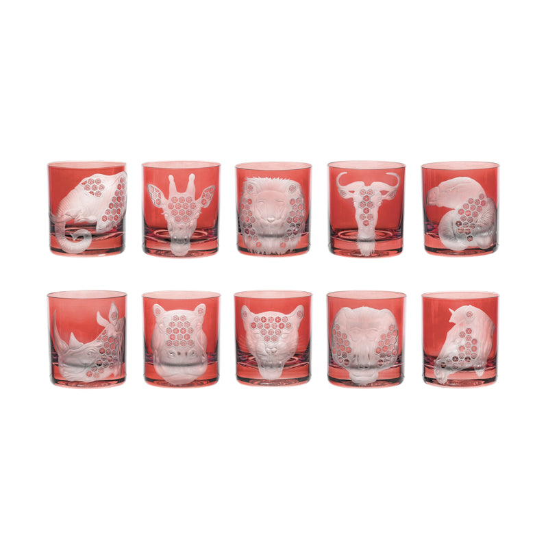 African Safari Collection Set