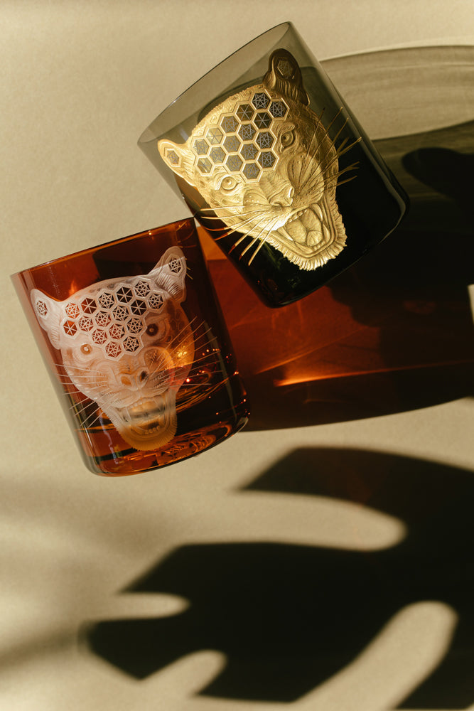 African Safari Jaguar