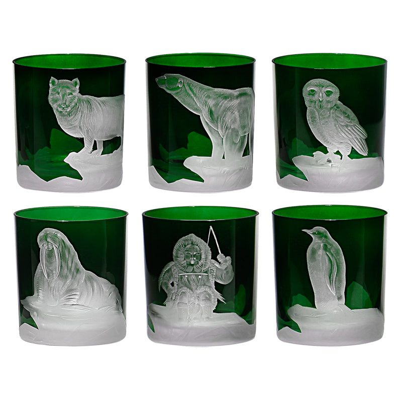 Arctic Collection Set